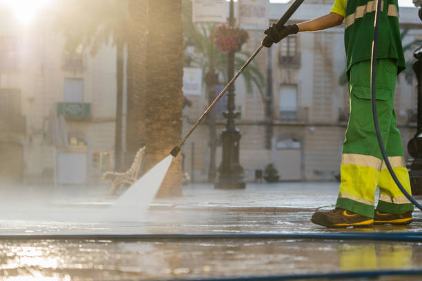 Best Roof Pressure Washing  in Alameda, CA